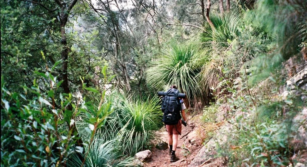 Hikers move more smoothly when they recenter after the main tread shifts away from the edge