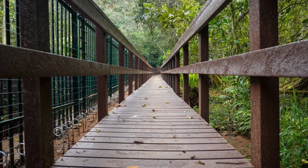 Wooden bridges and boardwalks can feel smoother than nearby dirt trails even when they look dry