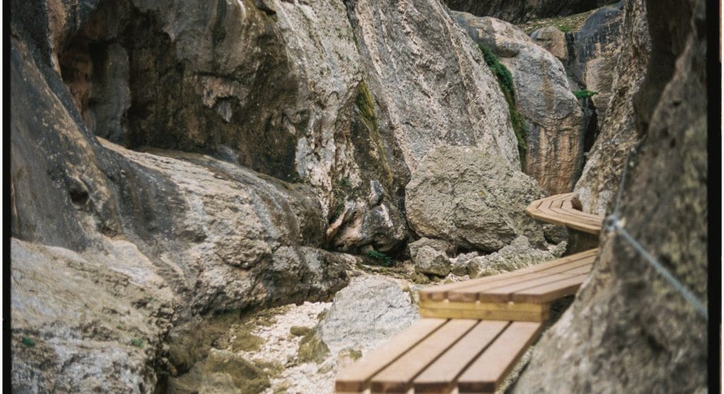 Wooden bridges and boardwalks can require slower steps because trail traction changes quickly