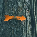 hiker checking trail markers
