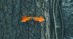 Why Hikers Should Confirm Trail Markers After Turns Instead of Assuming the Route Is Right