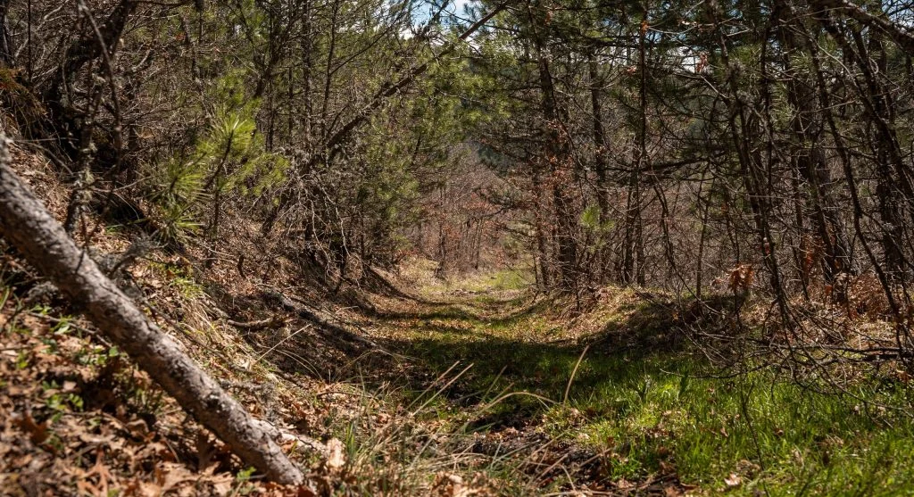 Spring trails near water often feel slower because footing stays softer and less predictable