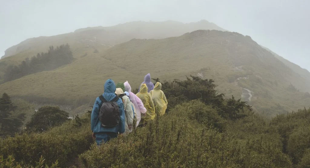 Small downhill sections feel easier when hikers shorten steps and control pace