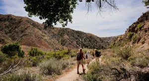 Why Dry Heat Can Make a Hike Feel Harder Than the Temperature Suggests