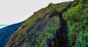 Repeated short step-ups on trails can quietly drain hiking energy over time
