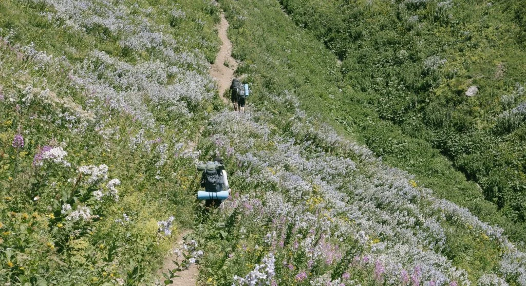 Easy-to-reach water often helps hikers keep steadier pace and comfort later in the hike