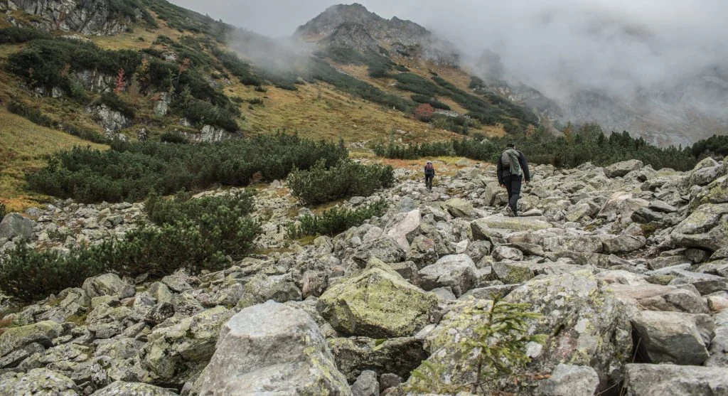 Shorter controlled steps help hikers avoid stepping too far forward on uneven trails