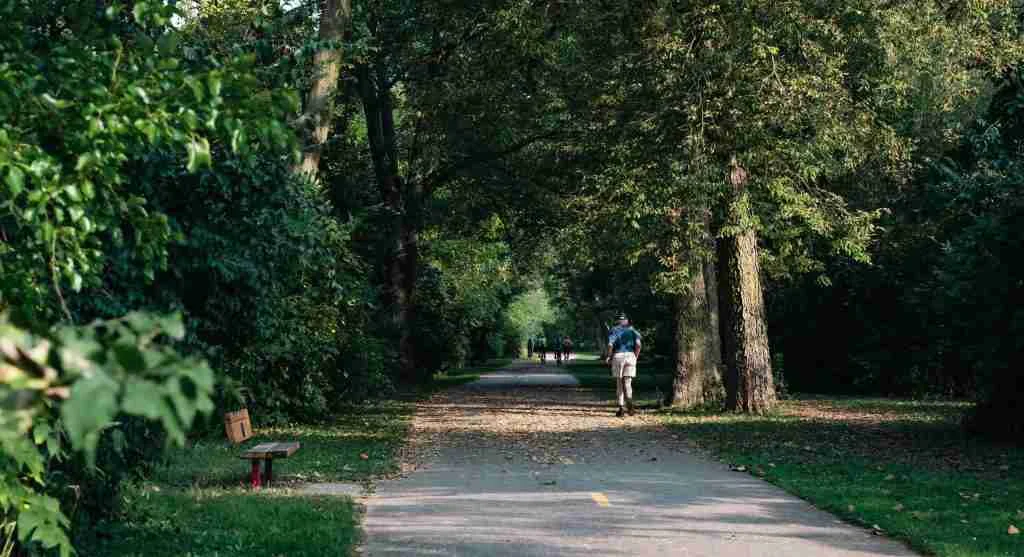 Nearby noise can make a moderate trail feel more tiring than expected