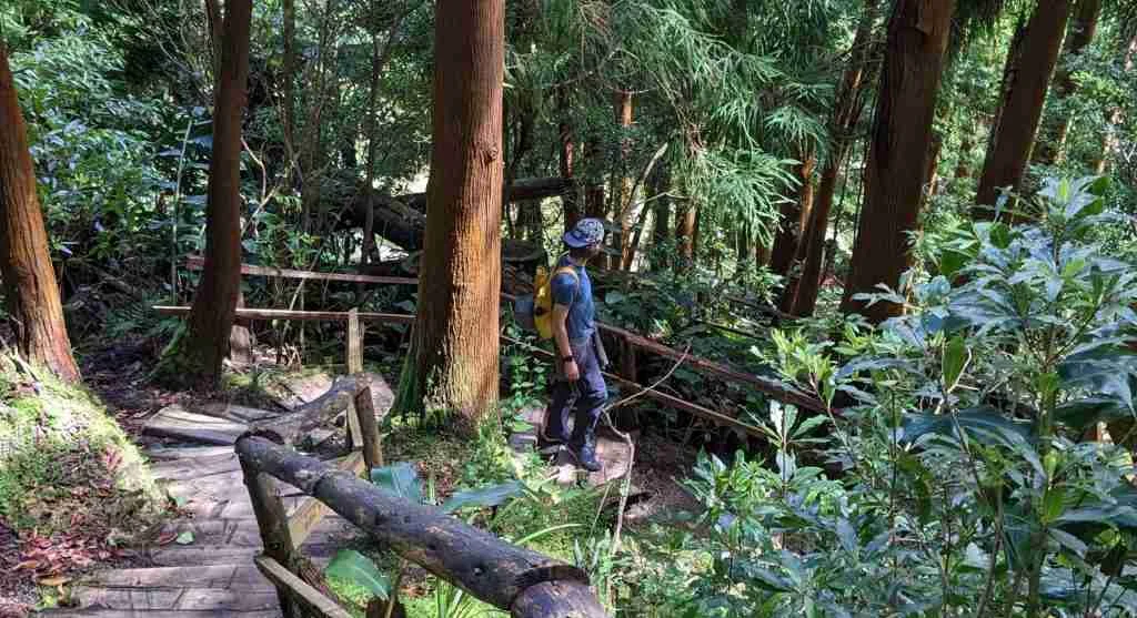 Hikers often slow down where boardwalk sections end and wet trail begins again