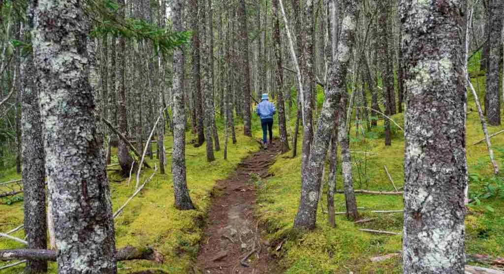 Trails often get harder through several small changes instead of one obvious shift