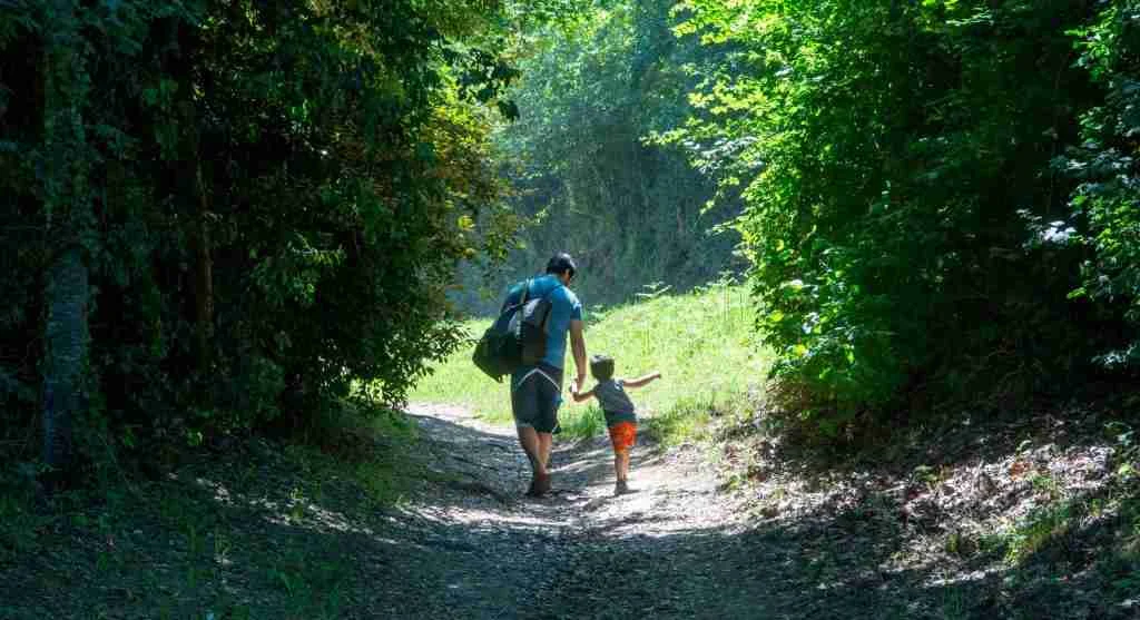 Gentle trails often create extra pauses that quietly add time to a hike