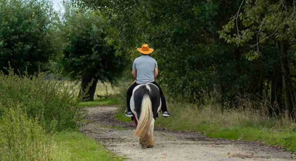 Calmer pacing helps on trails that demand many small corrections instead of one clear obstacle