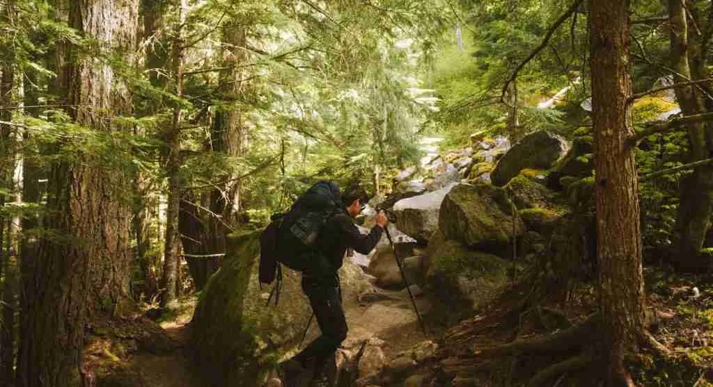 Shaded trails can hide hiking fatigue longer than hikers expect