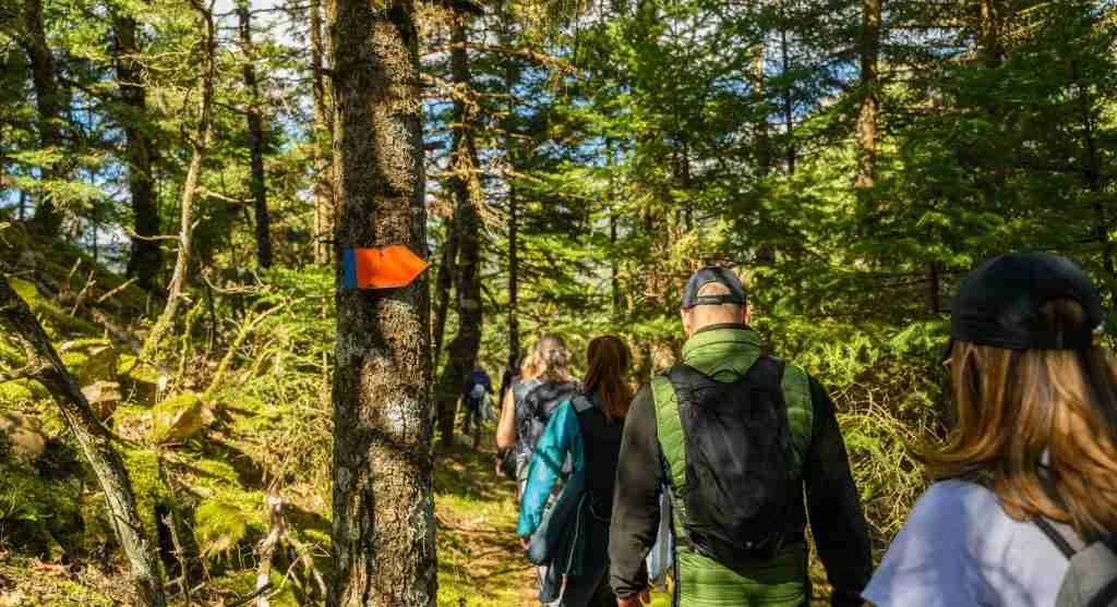Trails feel easier to manage when hikers respond to small signs before they build into bigger problems