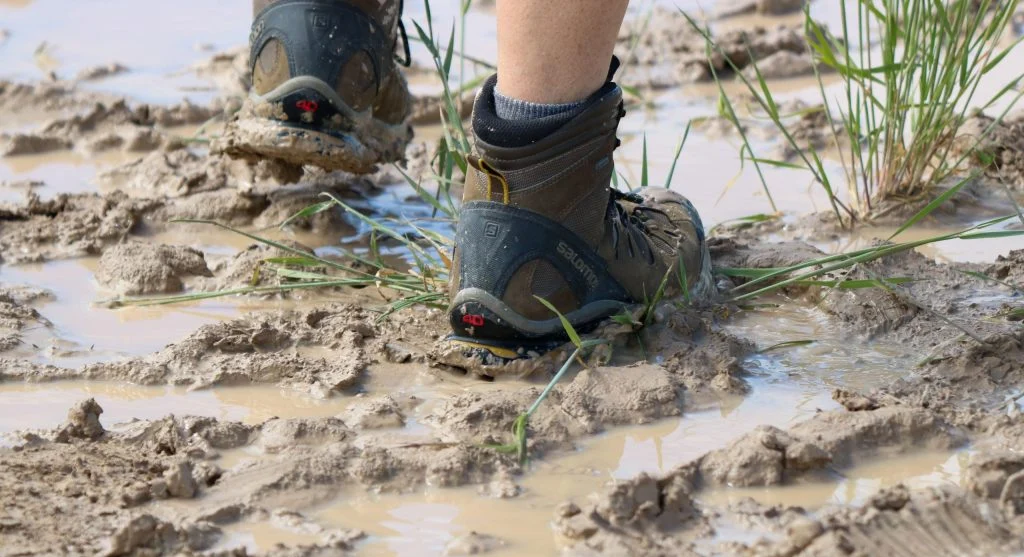 Damp trail conditions can make boots feel heavier and less responsive during hikes