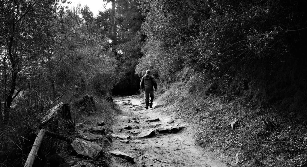 A clear walking line often makes trail movement smoother and more comfortable