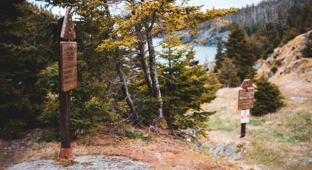 Looking back after a trail junction helps hikers return with more confidence later