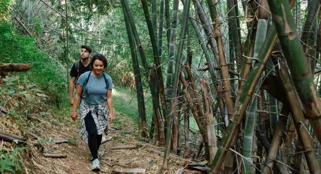 Easy trail sections often encourage faster pacing than the full hike can support