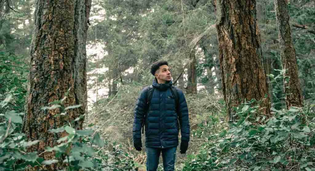 Repeated shallow trail step-ups often break hiking rhythm and increase fatigue